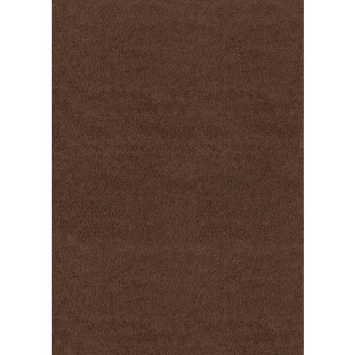 United Weavers Of America Aria 4 x 5 Brown Indoor Solid Area Rug in the ...