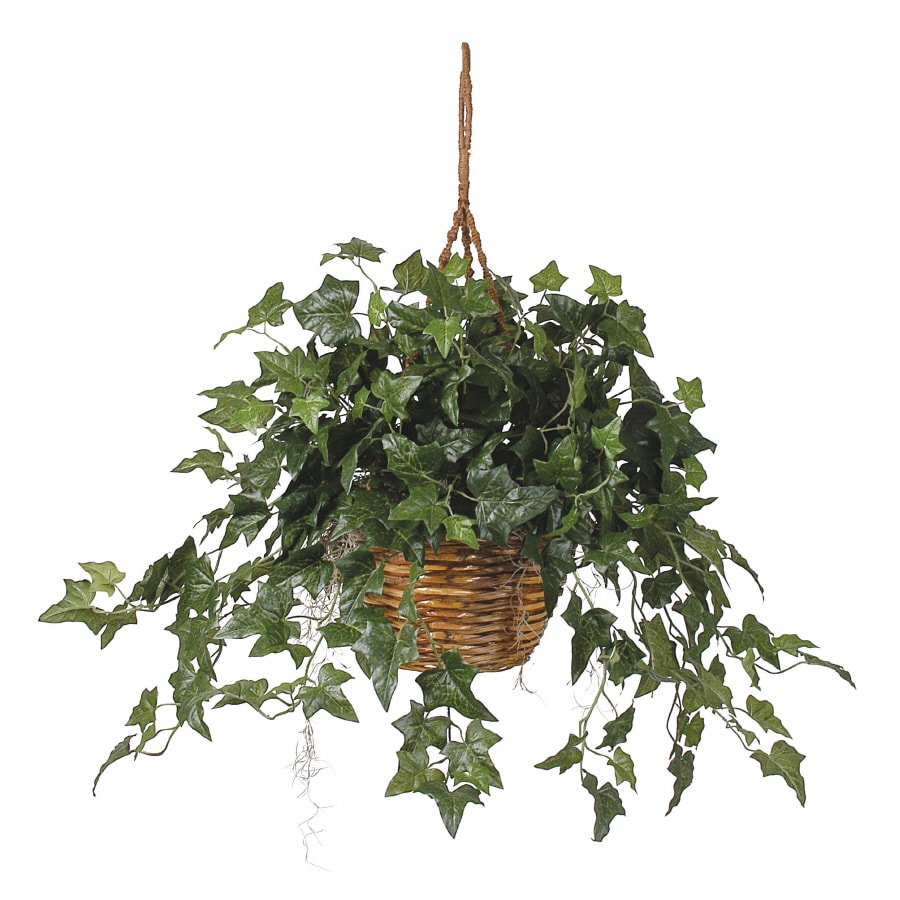 Nearly Natural 6507 26-in Artificial English Ivy