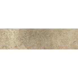 Style Selections Agrippa Noce Porcelain Bullnose Tile (Common: 3-in X 12-in; Actual: 2.76-in x 11.76-in)