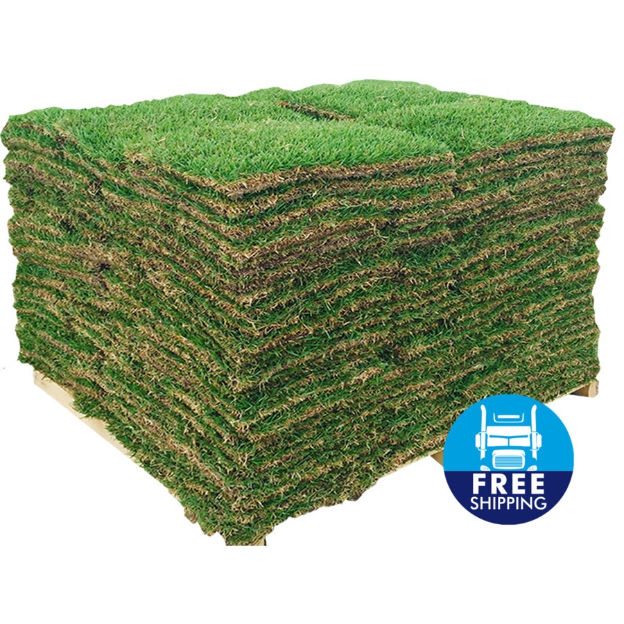 Harmony Outdoor Brands 500 sq Ft Centipede Sod Pallet At Lowes