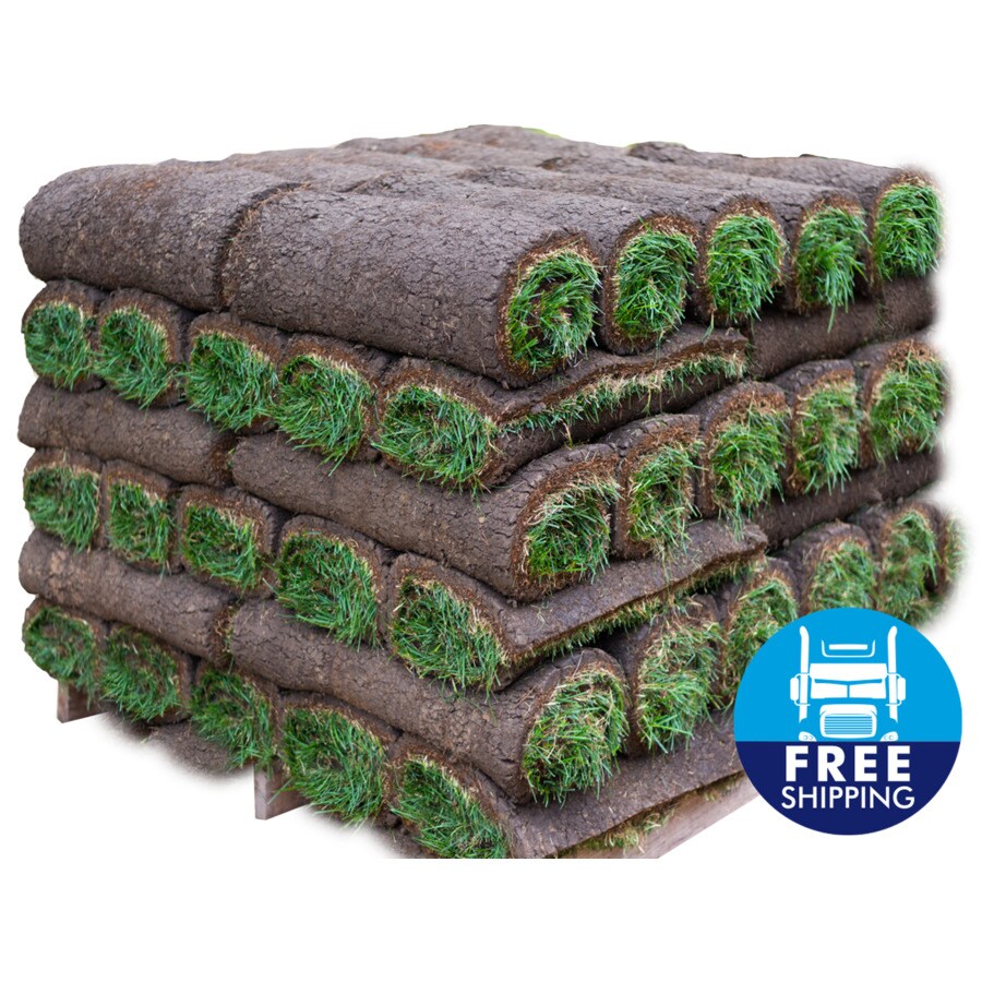 Harmony Outdoor Brands 500 sq Ft Bluegrass Sod Pallet At Lowes