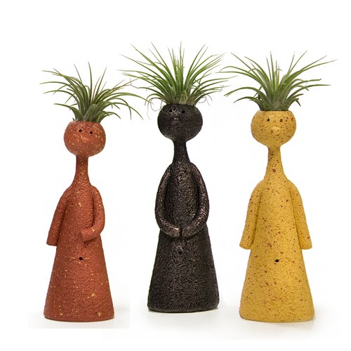 LiveTrends 3Pack 3Pack Air Plant (Mixed) in Clay Planter