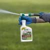 IMAGE 32-oz Herbicide at Lowes.com