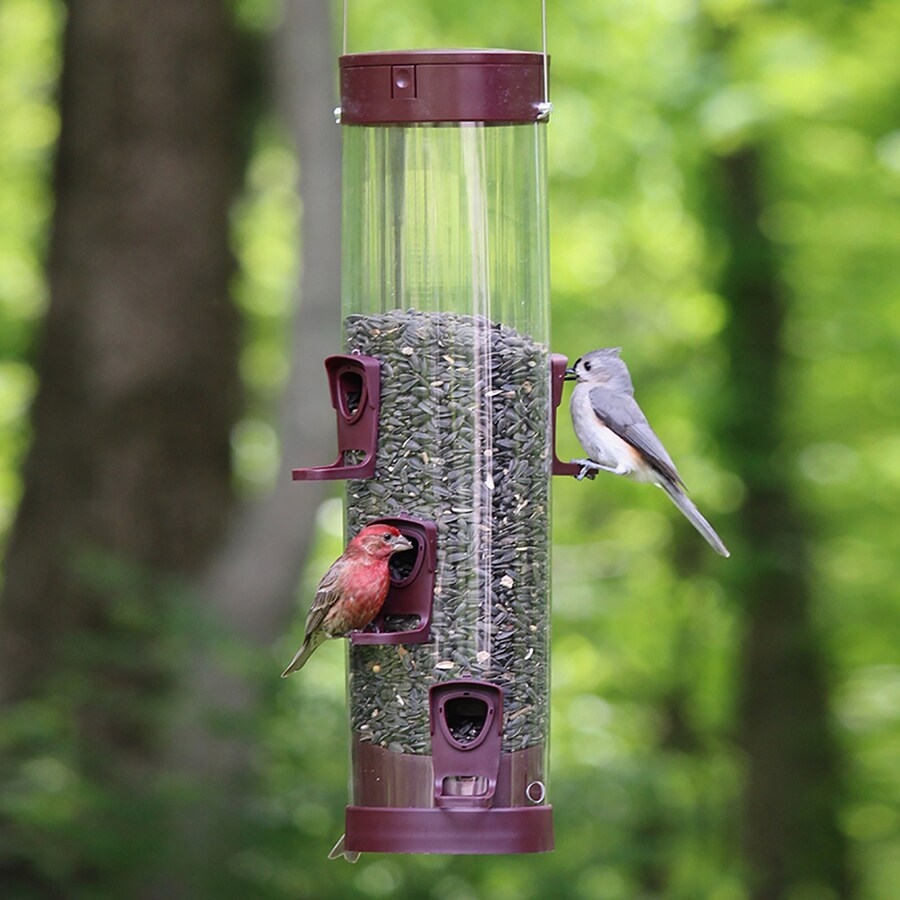 More Birds SureFill Spill Maroon Plastic Tube Bird Feeder in the Bird ...