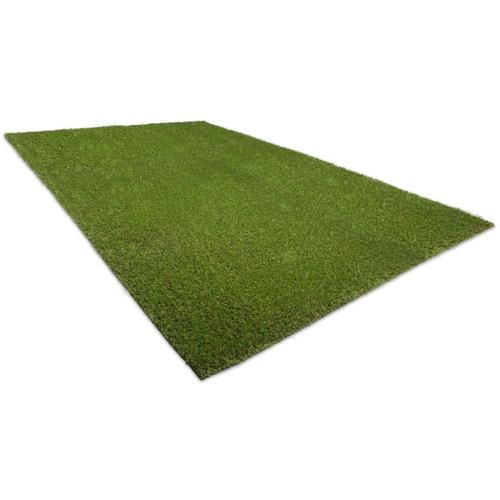 SYNLawn 11-ft x 7.5-ft Fescue Artificial Grass in the Pre-Cut ...