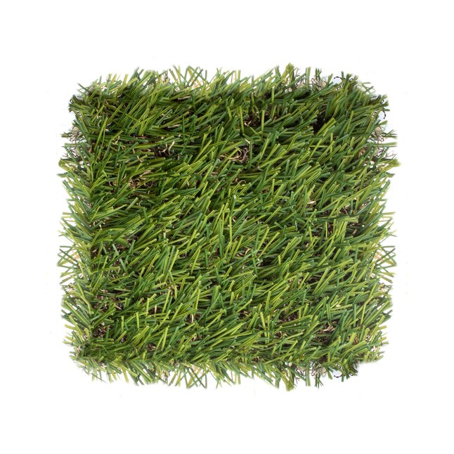 SYNLawn SYNLawn 6.0-in x 6.0-in Fescue Artificial Grass Sample SYNLawn SYNLawn 6.0-in x 6.0-in Fescue Artificial Grass Sample