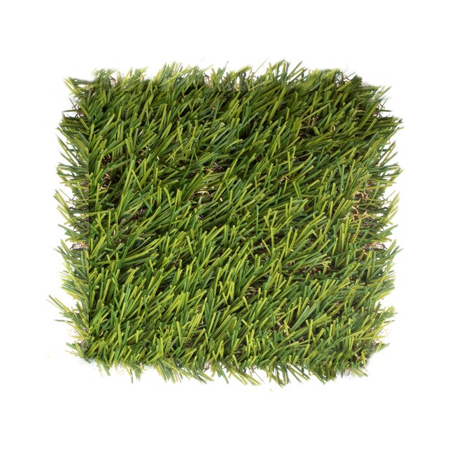 SYNLawn SYNLawn 6.0-in x 6.0-in Fescue Artificial Grass Sample SYNLawn SYNLawn 6.0-in x 6.0-in Fescue Artificial Grass Sample