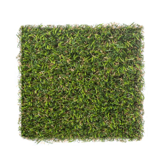 SYNLawn SYNLawn 6.0-in x 6.0-in Fescue Artificial Grass Sample SYNLawn SYNLawn 6.0-in x 6.0-in Fescue Artificial Grass Sample