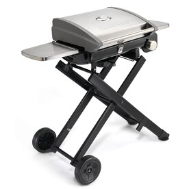 Portable Grills At Lowes Cuisinart All Foods Stainless Steel 15000 Btu 240 Sq In Portable Gas Grill