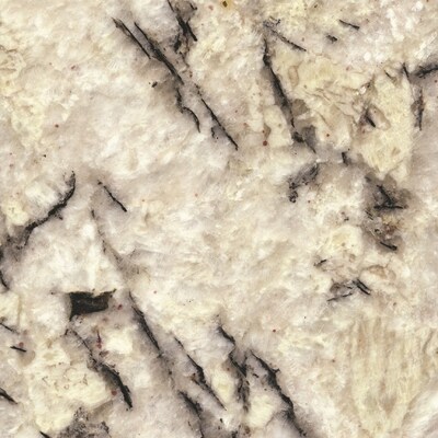Sensa Delicatus Ice Granite Kitchen Countertop Sample At Lowes Com