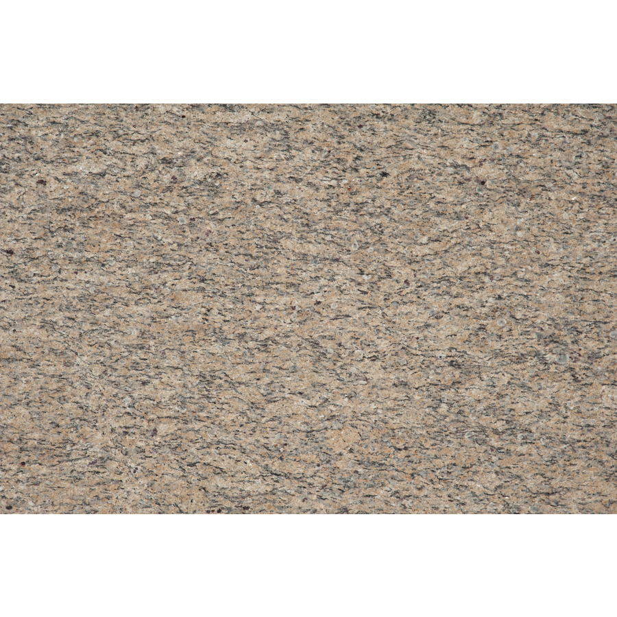 SenSa Golden King Granite Kitchen Countertop Sample at