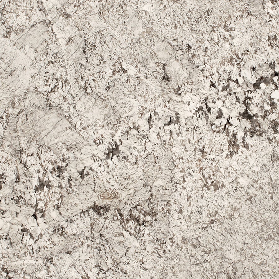 Shop SenSa Tangier Granite Kitchen Countertop Sample At Lowescom