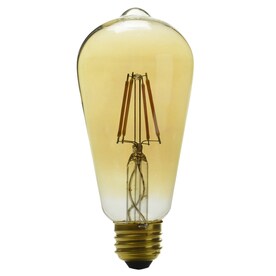 Shop Vintage Edison Light Bulbs at Lowes.com Shop Vintage Edison Light Bulbs at Lowes.com