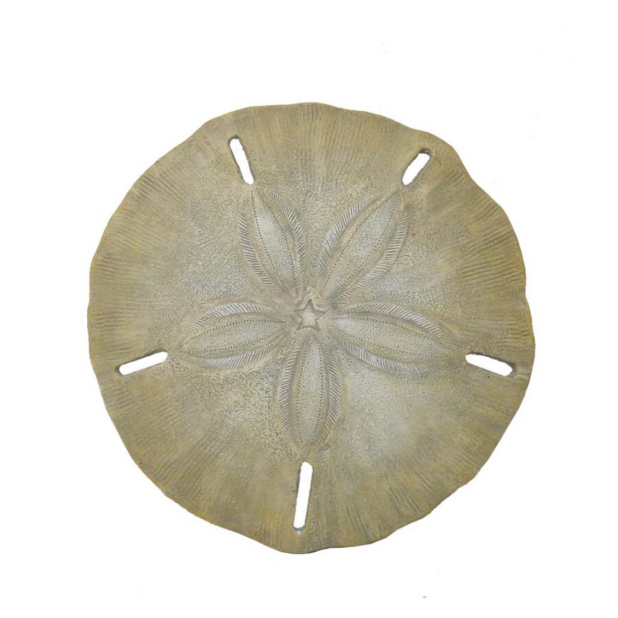 Garden Treasures Sand Dollar Wall Decor At Lowes Garden Treasures Sand Dollar Wall Decor