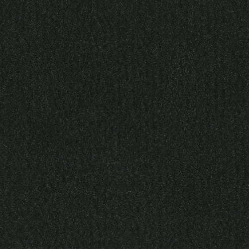 Daystar Black Indoor/Outdoor Carpet at