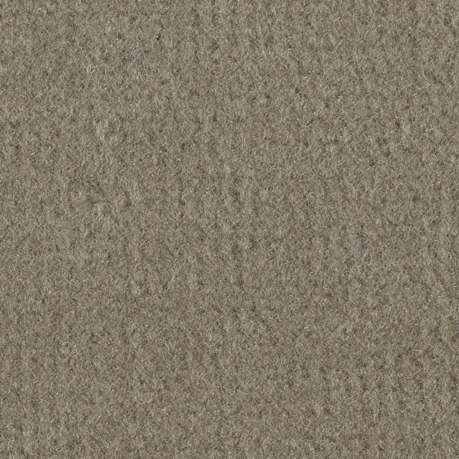 Daystar Taupe Indoor Outdoor Carpet At Lowes Com