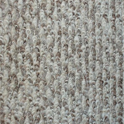 Seneca 12 Ft Berber Loop Interior Carpet At Lowes Com