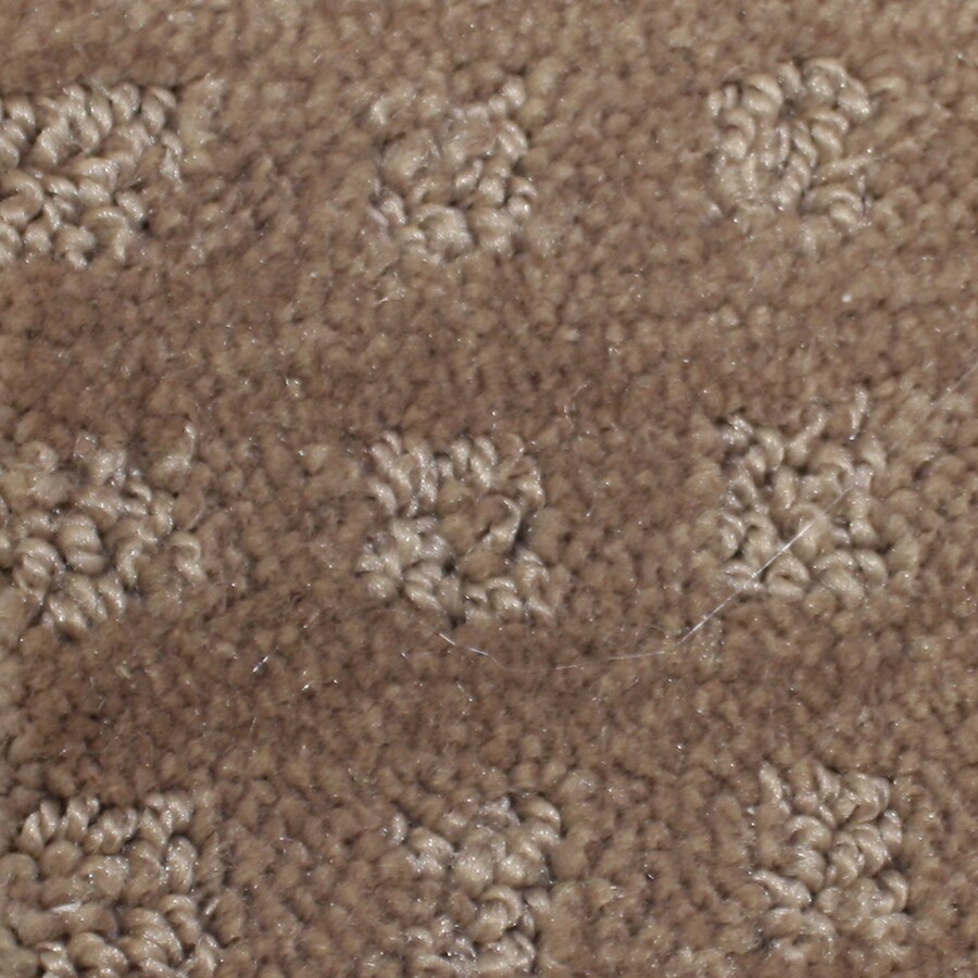 shop grandview kingston fashion forward indoor carpet at shop grandview kingston fashion forward indoor carpet at