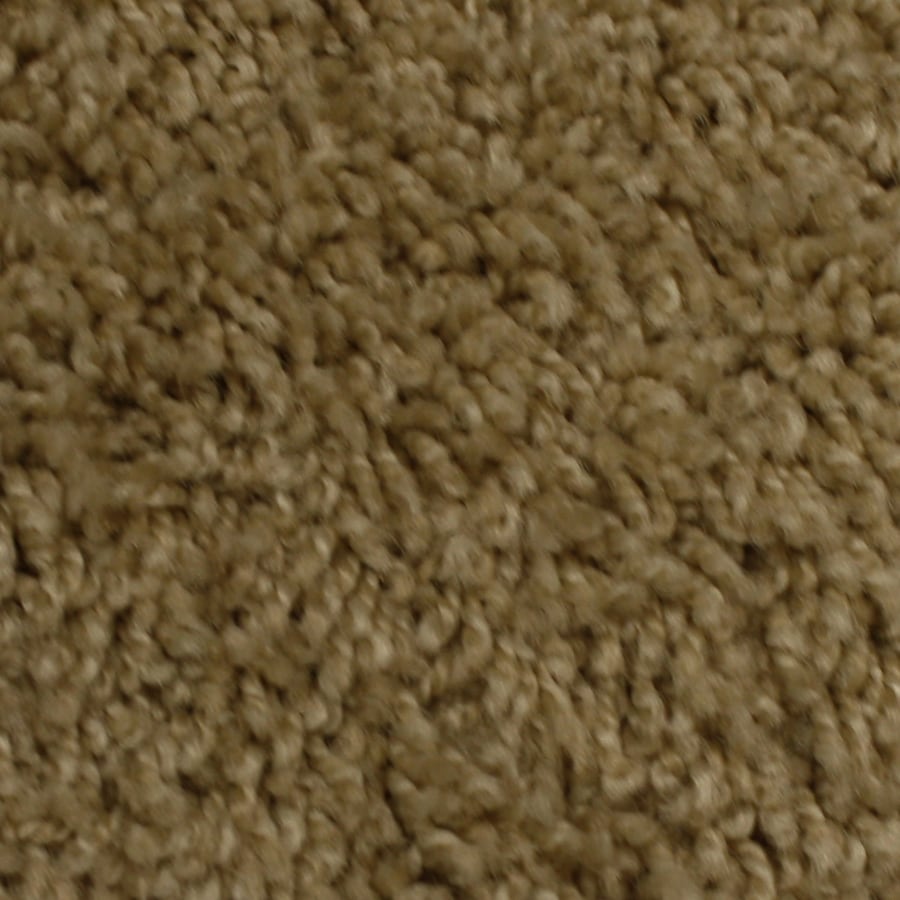 STAINMASTER SolarMax Feature Buy Graceful Carpet at