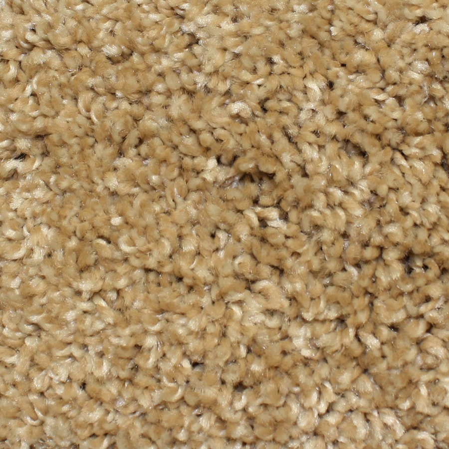 Looptex Mills Feature Buy Multi Carpet at Lowes.com