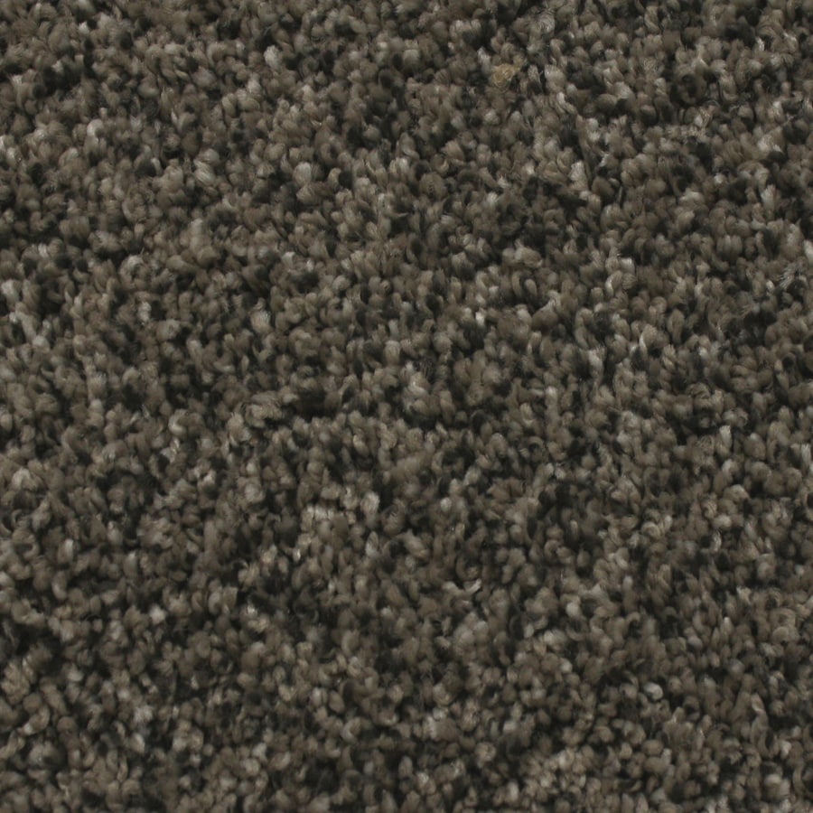 STAINMASTER Essentials Nolin 12ft Textured Interior Carpet at