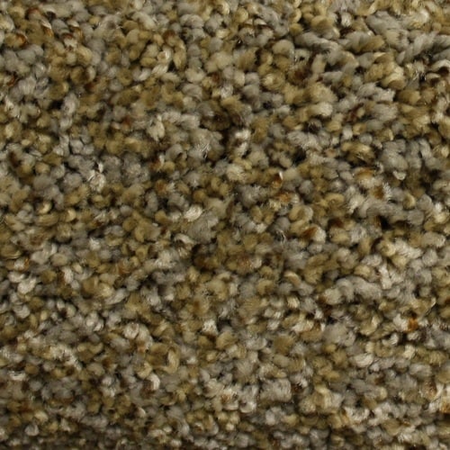 STAINMASTER PetProtect Lexington Ridge Run Textured Carpet ...