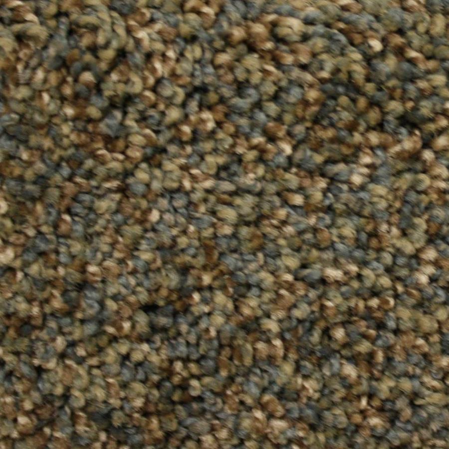 Stainmaster Petprotect Lexington 12 Ft Textured Interior Carpet Stainmaster Petprotect Lexington 12 Ft Textured Interior Carpet