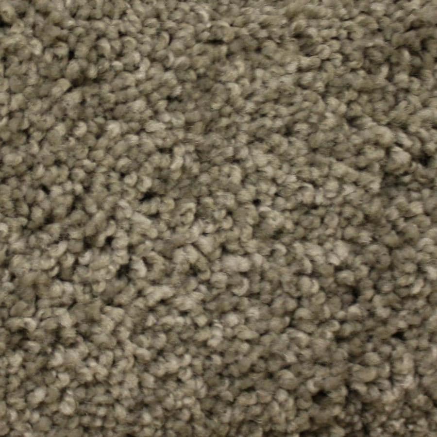 Stainmaster Petprotect Georgetown 12 Ft Textured Interior Carpet At Stainmaster Petprotect Georgetown 12 Ft Textured Interior Carpet