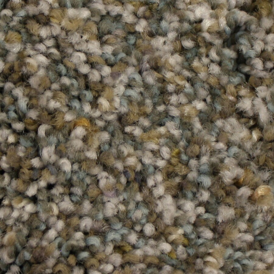 Stainmaster Petprotect Side Kick 12 Ft Textured Interior Carpet Stainmaster Petprotect Side Kick 12 Ft Textured Interior Carpet