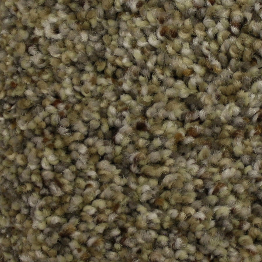 Stainmaster Petprotect Companion 12 Ft Textured Interior Carpet At Stainmaster Petprotect Companion 12 Ft Textured Interior Carpet