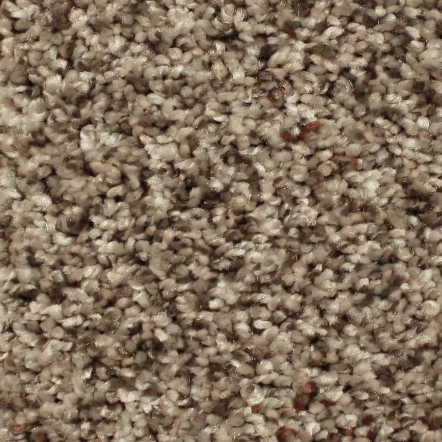 STAINMASTER Essentials Ventura 12ft Textured Interior Carpet at