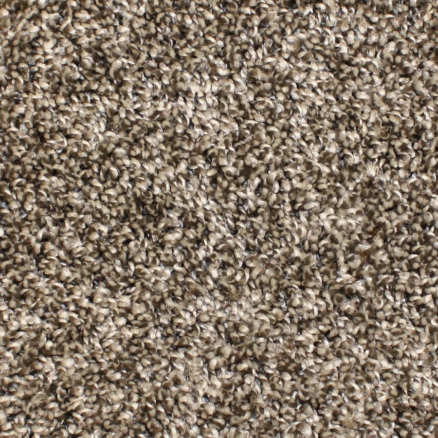 Stainmaster Essentials Bronson 12 Ft Textured Interior Carpet Stainmaster Essentials Bronson 12 Ft Textured Interior Carpet