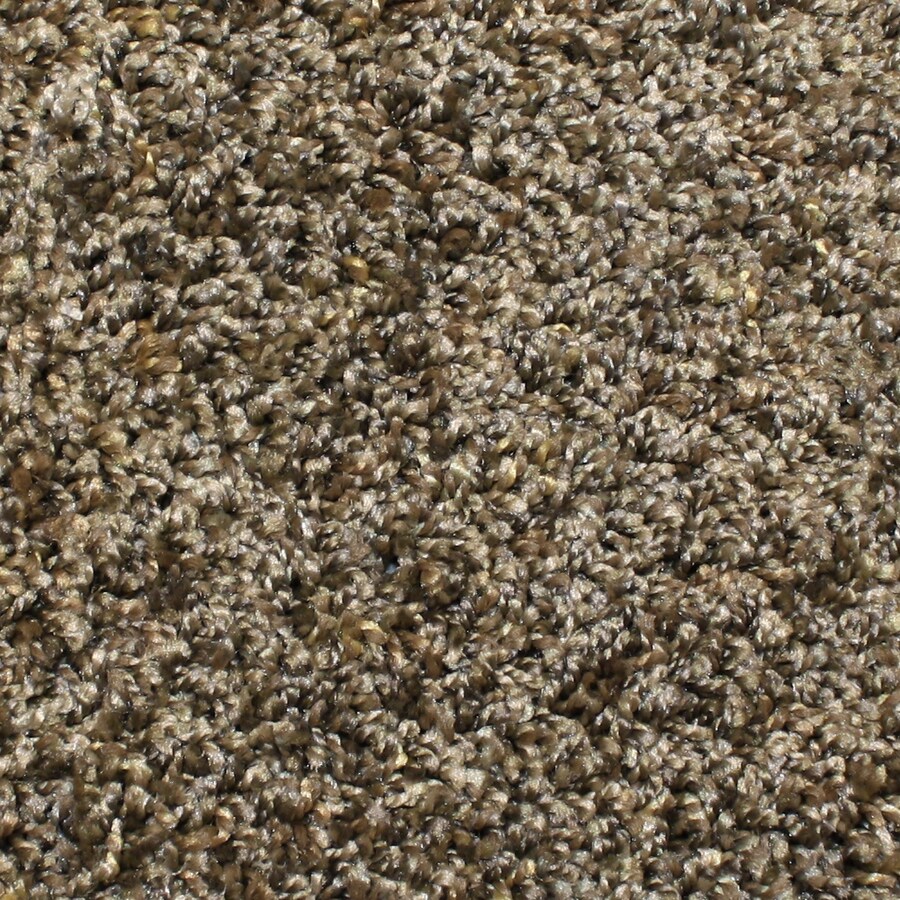 STAINMASTER Essentials Bronson 12-ft Textured Interior Carpet at Lowes.com