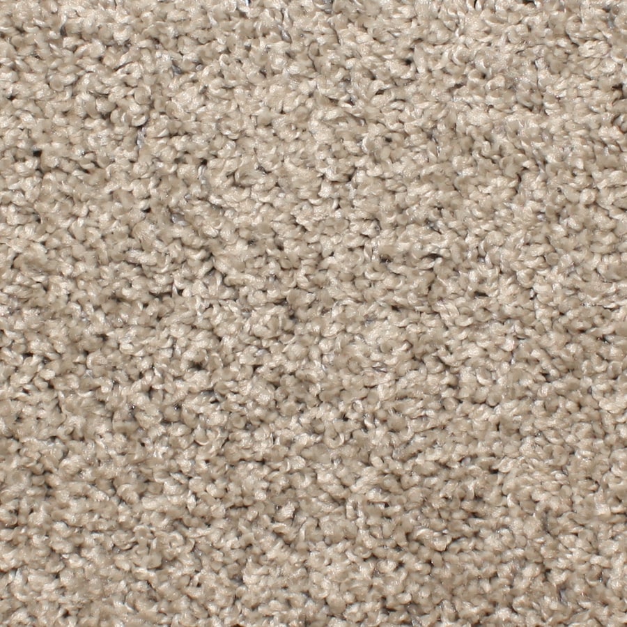 Shop STAINMASTER Essentials Conway 12ft Textured Interior Carpet at