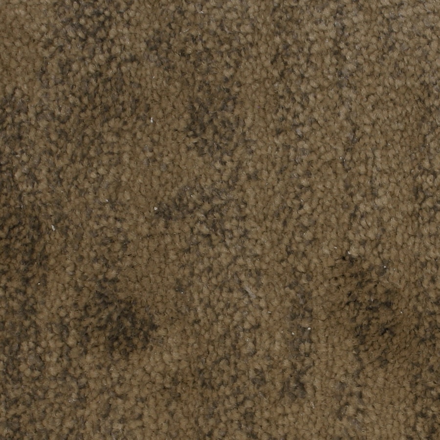 STAINMASTER PetProtect Grays Harbor 12ft W x CuttoLength Aurora