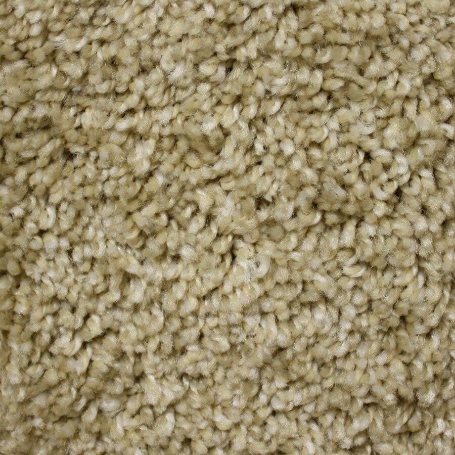 Phenix Cornerstone Dolomite Little Sandy Carpet Sample at