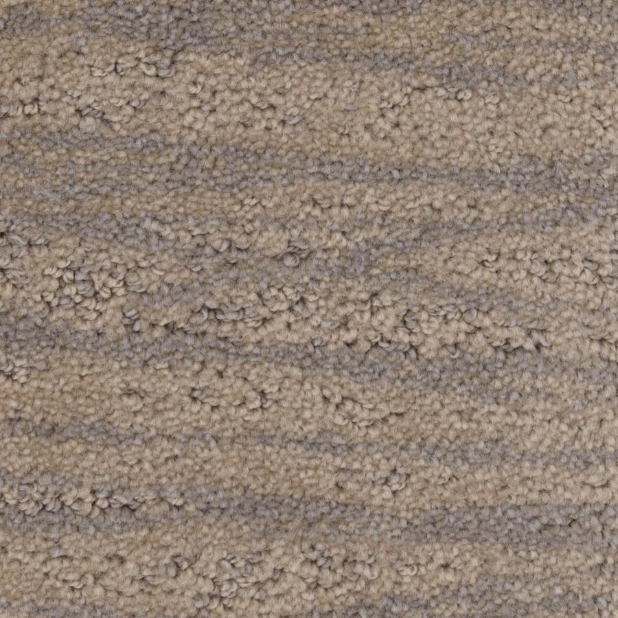 STAINMASTER PetProtect Embellish 12ft Pattern Interior Carpet at