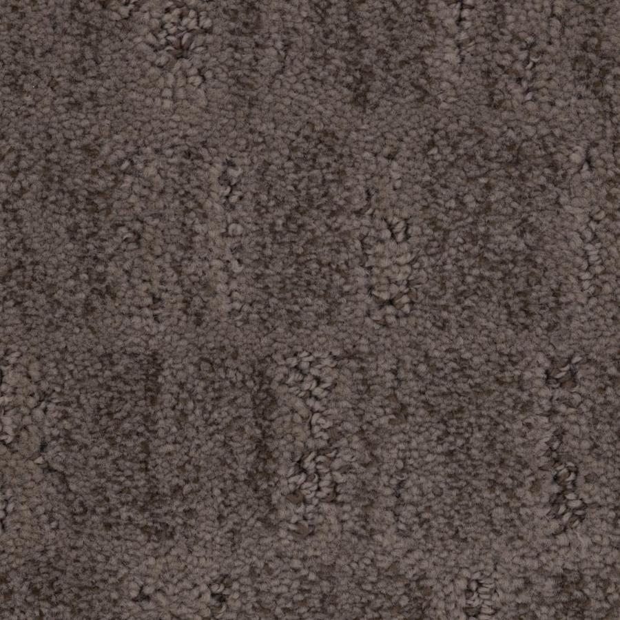 STAINMASTER PetProtect Picturesque 12ft Pattern Interior Carpet at