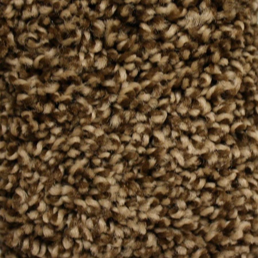 STAINMASTER Essentials Summer Old English Carpet Sample at