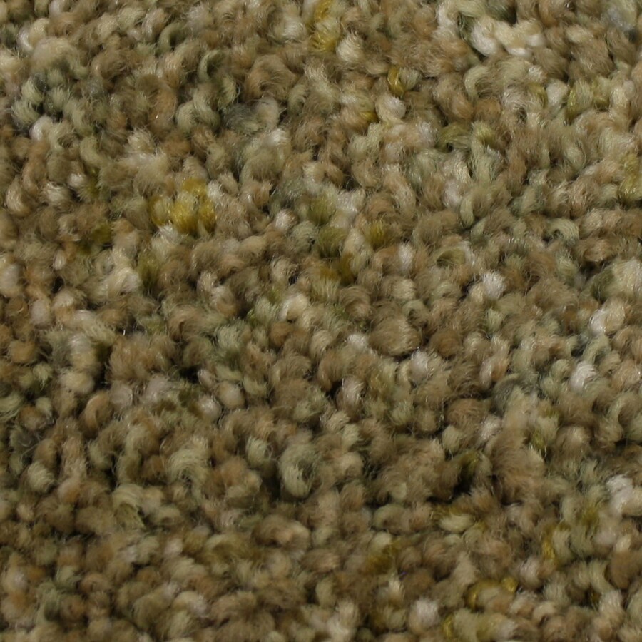 STAINMASTER PetProtect Soul Mate Musketeer Carpet Sample at