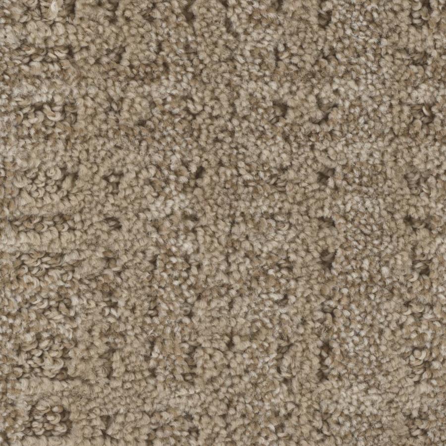 STAINMASTER Carpet Samples at Lowes.com
