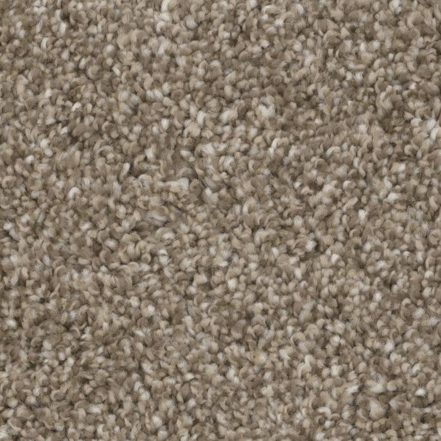 Stainmaster Stellar Linen Textured Carpet Interior In The Carpet Department At Lowes Com