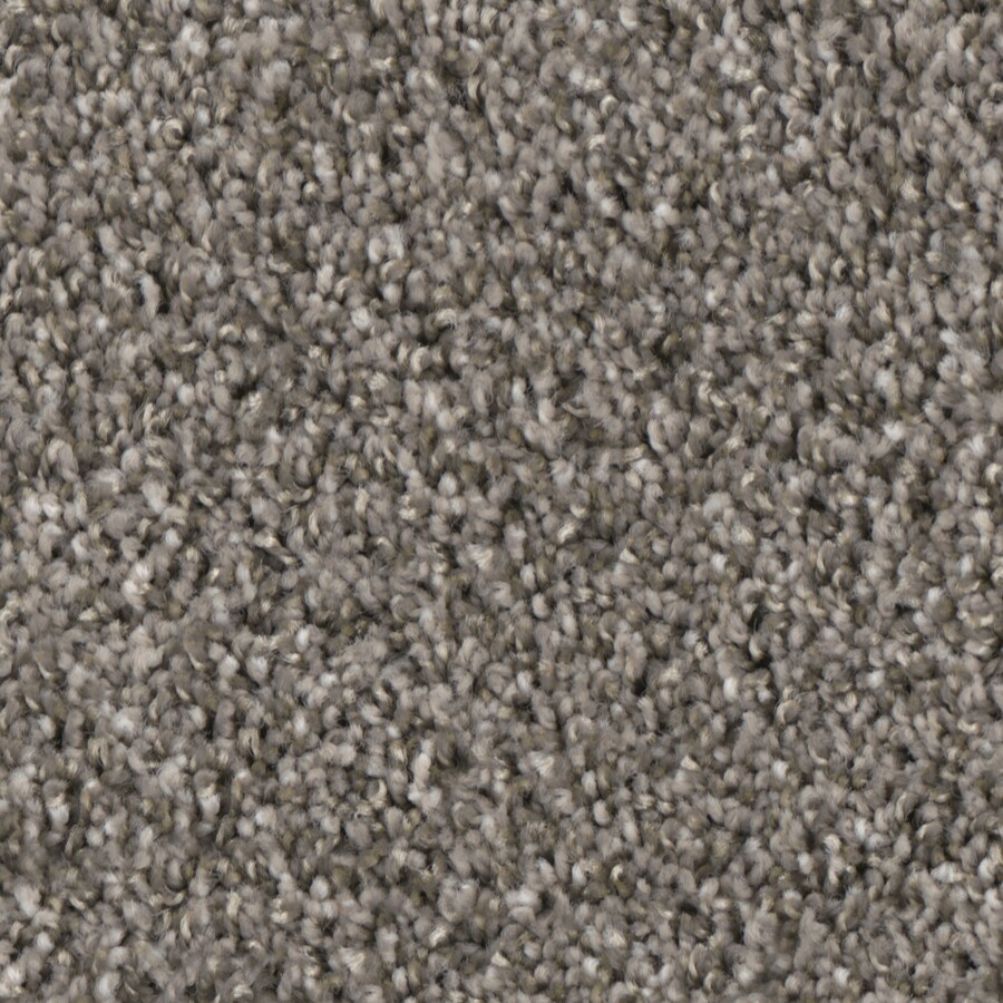 Sparkle Carpet at Lowes.com