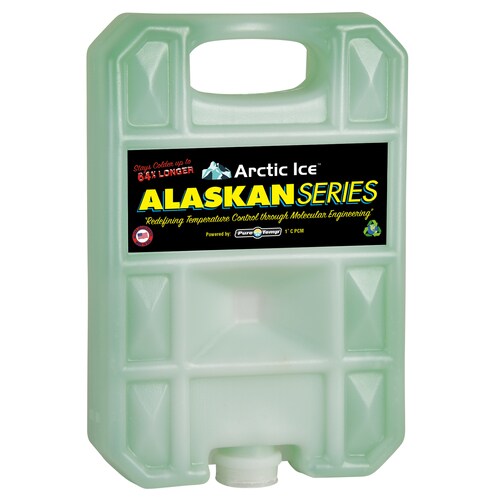 Arctic Ice Green Ice Pack in the Ice Packs department at