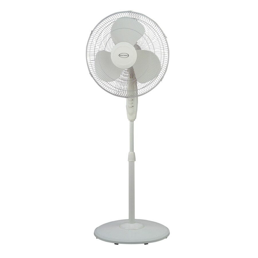 Feature Comforts FS40-8JA 