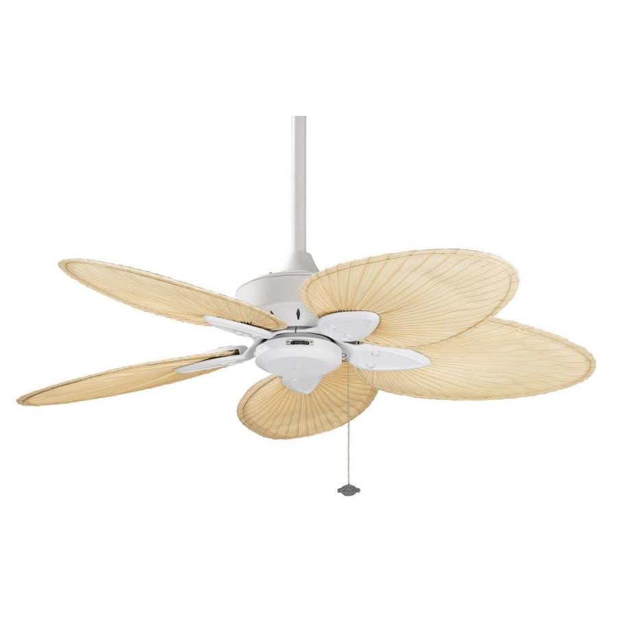 Fanimation Windpointe 52 In Matte White Indoor Downrod Mount Fanimation Windpointe 52 In Matte White Indoor Downrod Mount Ceiling Fan