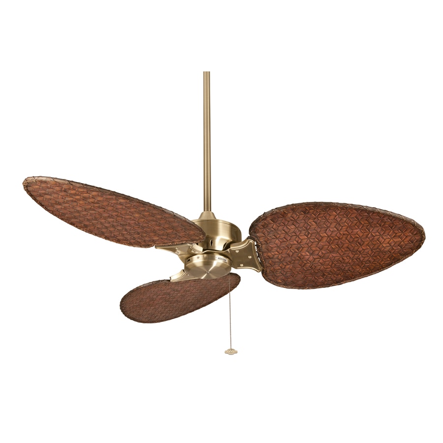 Fanimation Windpointe Ceiling Fan Best Ceilling Design