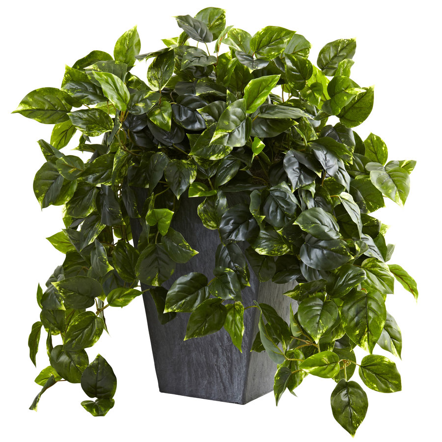 Nearly Natural 29in Green Artificial Pothos at