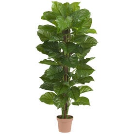Artificial Plants At Lowes Nearly Natural 63 In Green Artificial Silk Plant