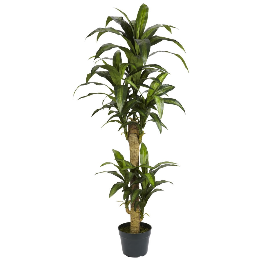 Nearly Natural 60 In Green Artificial Silk Plant At Lowes Com   840703105578 